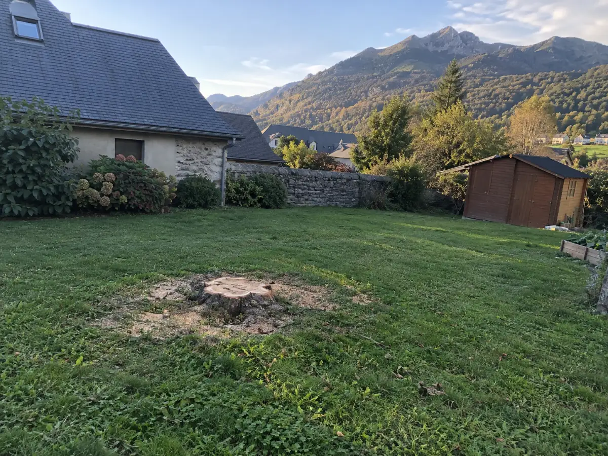 Jardin dégagé après l'abattage de l'arbre